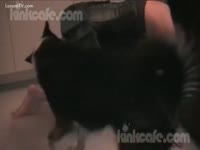 Fucking Hot Black Doggie got sucked
